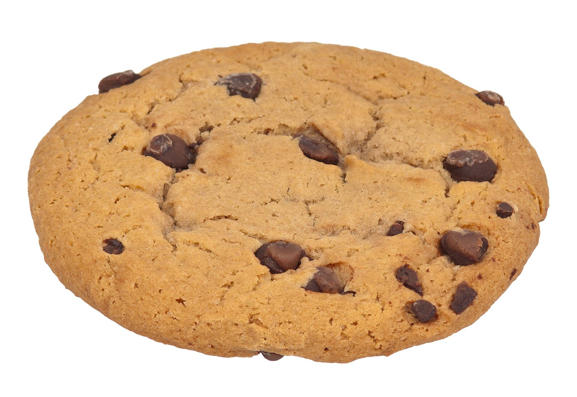 A chocolate chip cookie, close up.